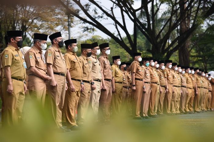 Netralitas Aparatur Sipil Negara (ASN) dalam Pemilihan Umum: Meningkatkan Integritas Demokrasi